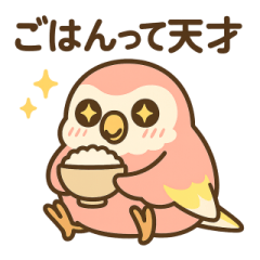 ぴーちゃんずのゆるっと日常