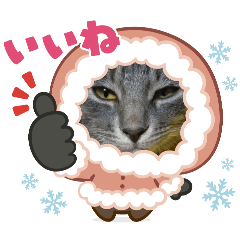 イト・トロ・ロイ&マシュ