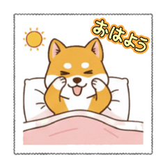 ゆるかわ芝犬の一日