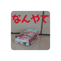 動く！ピーちゃん日誌