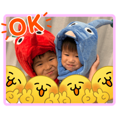 可愛いひなここ