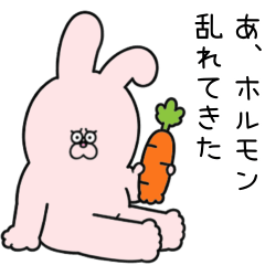 ガン詰めうさぎ