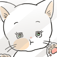 パンツねこ日和