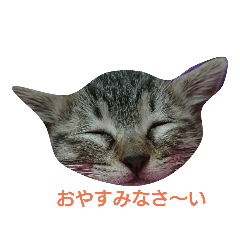 猫さんすたんぷ。