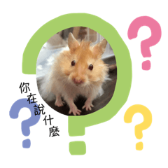 Kaoru_20190917204003