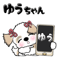 シーズー犬のゆうちゃん