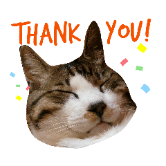 とらきち✩スタンプ