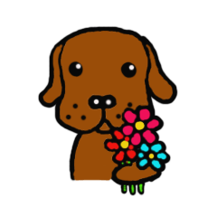 デンちゃんの1日