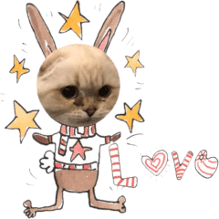 Mollie Catty imitates animals1