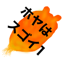 ホヤはスゴイ（１）