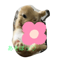 ふくたろうのうさちゃんスタンプ1