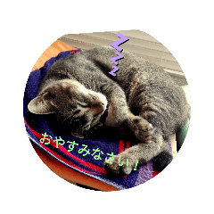 二匹の子供たち