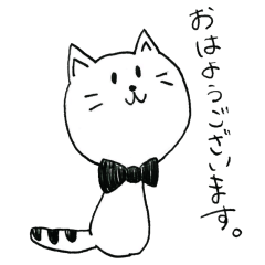 しろにゃんこのスタンプ