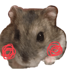 ハムちゃん&#39;s♡ちびたちゃん2