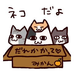 いたずら大好き猫