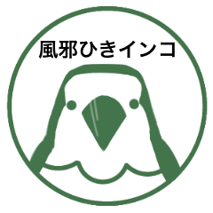 風邪ひきインコ