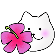 夏に使えるにゃんこ