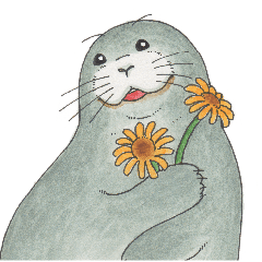 のんびりアザラシさん。