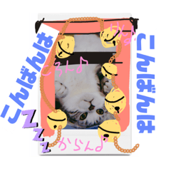 ねこのささやき