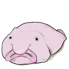 深海魚含む海の生き物