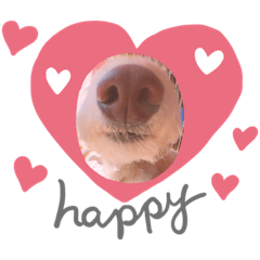 ダップーはくちゃん