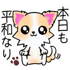 ちわわっ！ちわわっ！