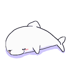 シロイルカたち