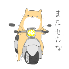 ゆるく生きるカワウソ