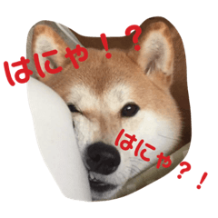 わたしが使いたいだけのスタンプ2020(改)