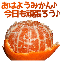 やさしいみかん