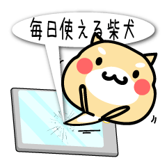 毎日使える!?かわいい柴犬