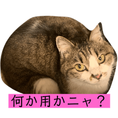 チャミちゃん❤