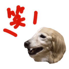 ラズくんスタンプ2