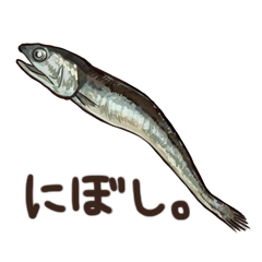 生きているようで死んでいるにぼし。