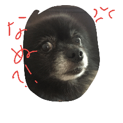 くろまめたろう