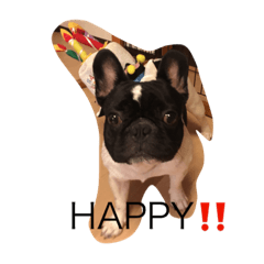 さくじろう☆ブービー