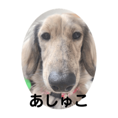 あっしゅとあーる