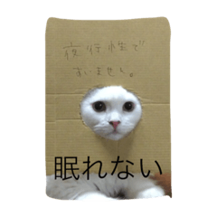 しらスタンプ