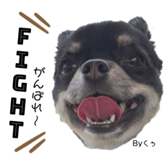 ぴのらて友達(くぅココ編)