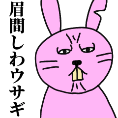 眉間しわウサギ