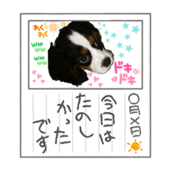 ちょこちょこっと awesome day