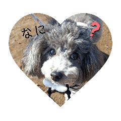 めいの幸せな毎日の日常