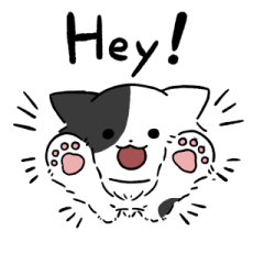 長毛黒白トビ柄にゃんこ2(英語)