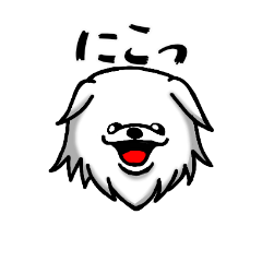 ペキニーズのペッキーと仲間たち