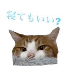 かみはつスタンプ7&文字スタンプ第三弾