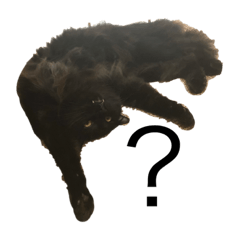 わたしのおとちゃん。2