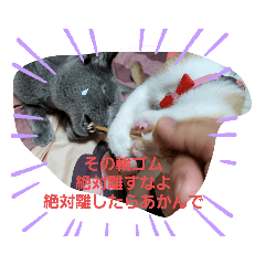 お茶子スタンプNO2