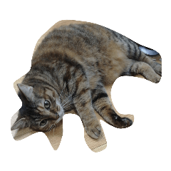 Sherry_20220802124439