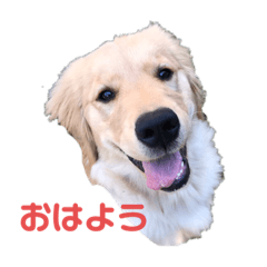 ラブリールナちゃん