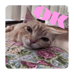 なつさんのスタンプ